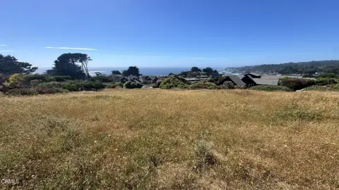 Waterfront Land Lot