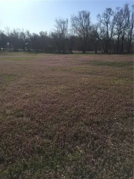 Cleared Lots in Blue Mound