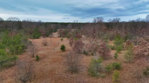 Recreational Hunting Land