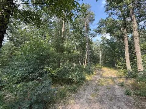 Partially Cleared Recreation Land