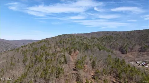 295 Acres of Wooded Land