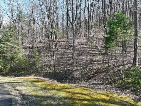 Ellijay Vacant Land in Highlands
