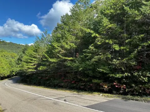 Ellijay Vacant Lot For Sale