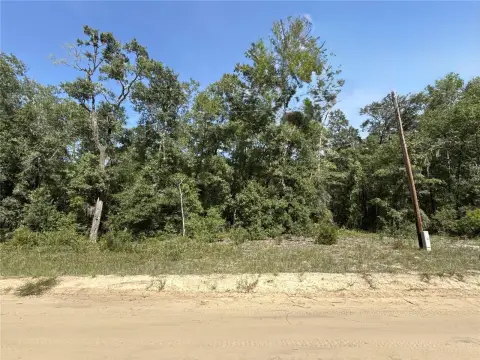 Residential Land in Interlachen, Florida