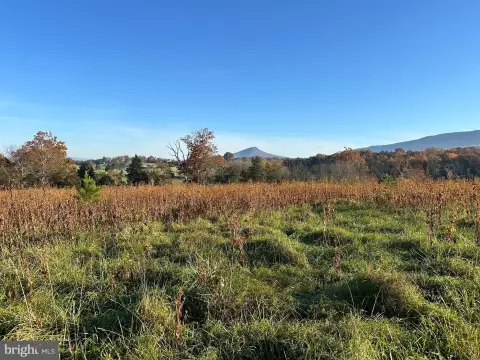 70+ Acres with Smith Creek Frontage