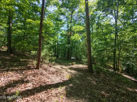 Two Acre Wooded Property