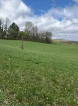 Independence Township Acreage for Sale