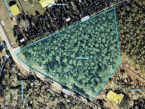 Pearlington Buildable Land Opportunity