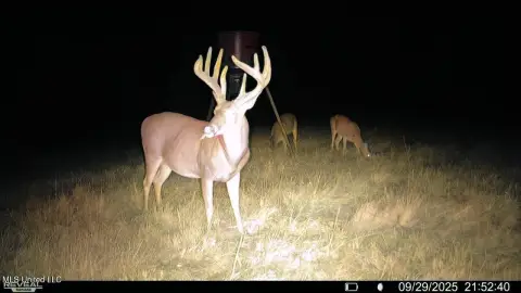 Hunting Land with Airstrip