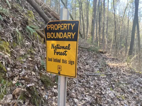 Tellico Plains Hunting Land