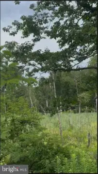 Zoned Residential Land Parcel