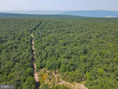 Recreational Hunting Land Parcel