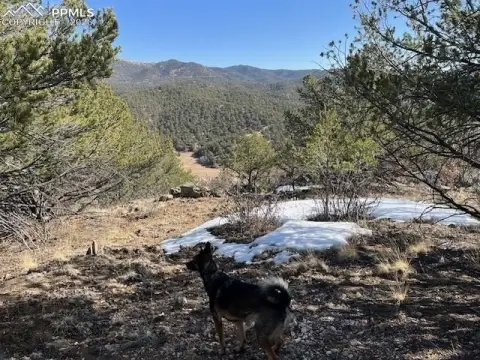 Land Near Canon City
