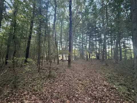 Recreational Hunting Land