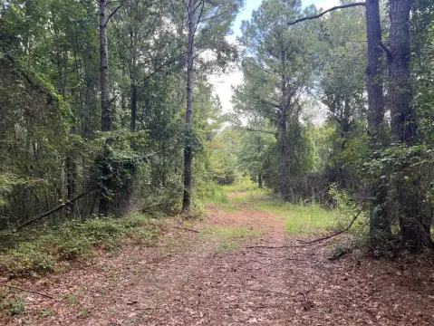 108 Acres of Vacant Land