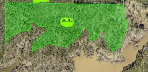 Land Near Toledo Bend Lake