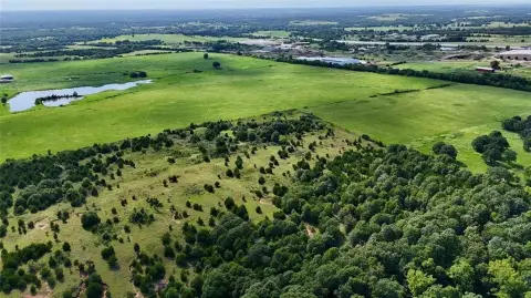 Timber-Adjacent Hunting Land