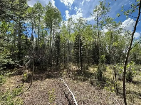 Residential Land in Indian Mountain