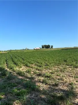 Scenic Land in New Hartford