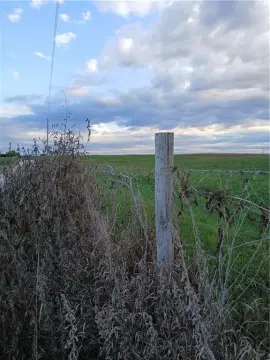 20 Acres with Stocked Pond