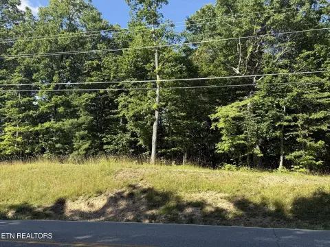 Sloped Homesite with Privacy