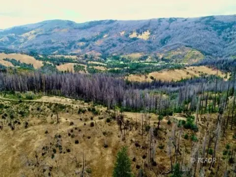 Ruth, CA Land Parcel