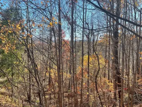 Hayesville Vacant Lot in Golf Community