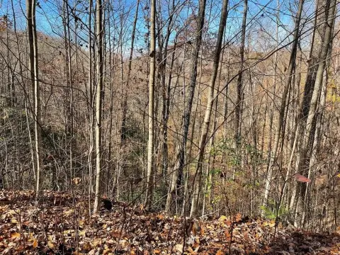 Hayesville Vacant Lot in Golf Community