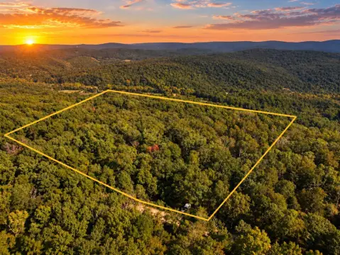 Wooded Hunting Land