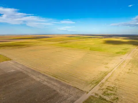 Dryland Farm