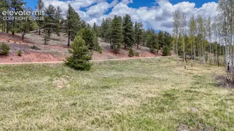 Residential Land Lot with Stream
