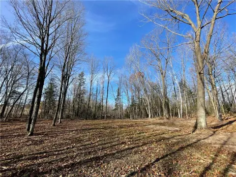 Weyerhaeuser, WI Land Parcel