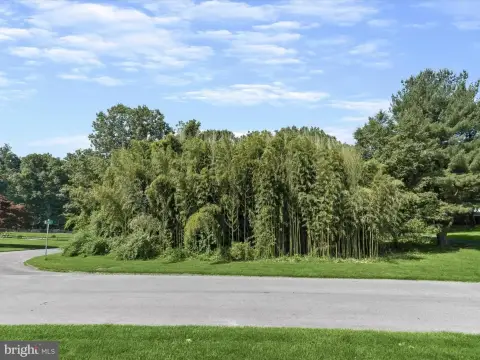 Land for Relaxation or Gardening