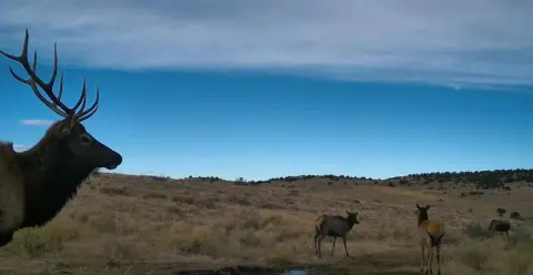 Expansive Acreage Near Westcliffe, Colorado