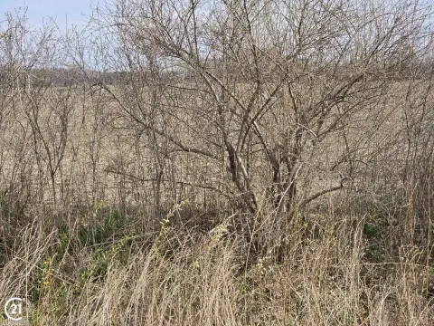 Richmond Twp Vacant Land Parcel