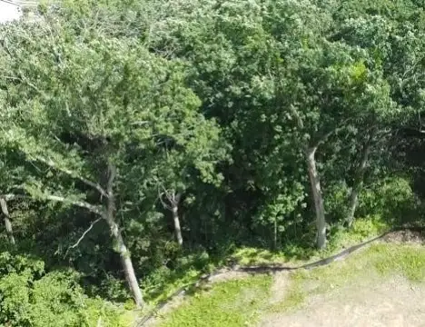 Verona Residential Lot For Sale