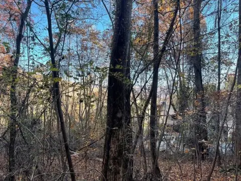 Hayesville Vacant Lot in Golf Community