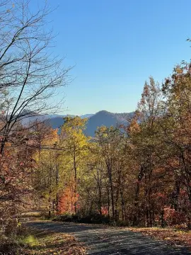 Hayesville Vacant Lot in Golf Community