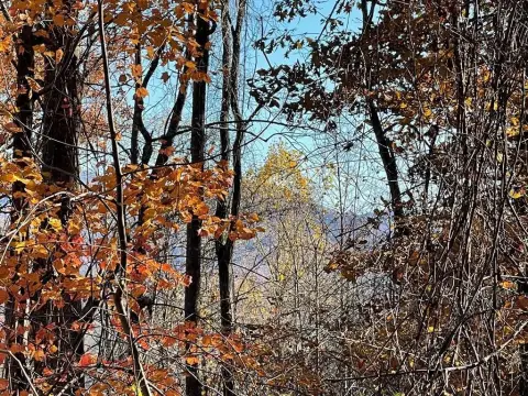 Hayesville Vacant Lots in Golf Community