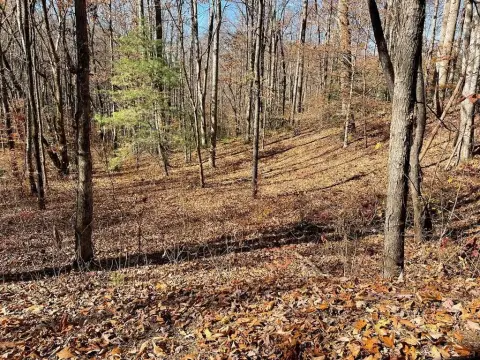 Hayesville Vacant Land in Community