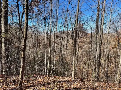 Hayesville Vacant Land in Community