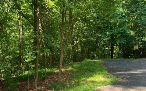 Blairsville Vacant Lots Available