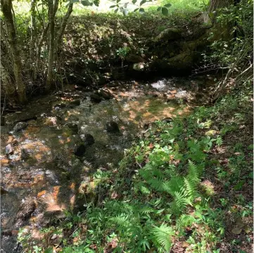 Blairsville Vacant Lots Available