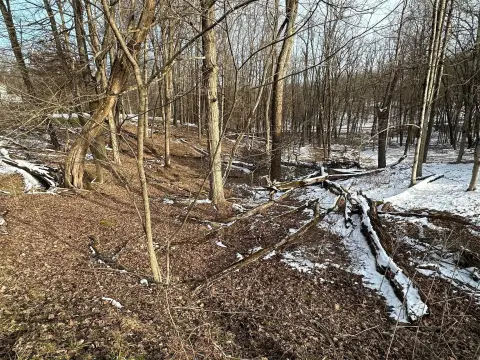 Wooded Lot in Apple Valley