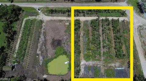 Palm Tree Farm on AG-2 Land
