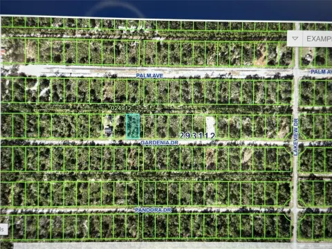 Half Acre Wooded Homesite