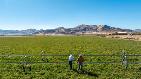 Productive Farm with Water Rights