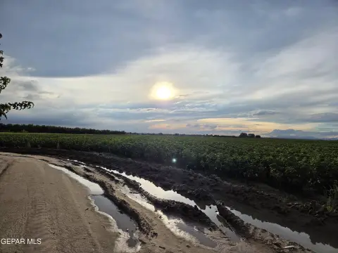Crop-Producing Farmland