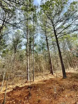 Residential Land Lot for Vacation Home