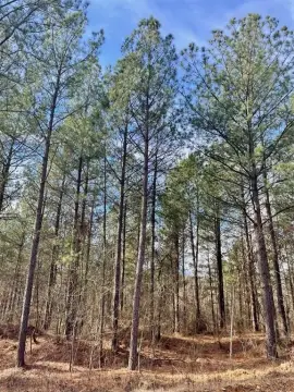 Residential Land Lot in Timber Creek